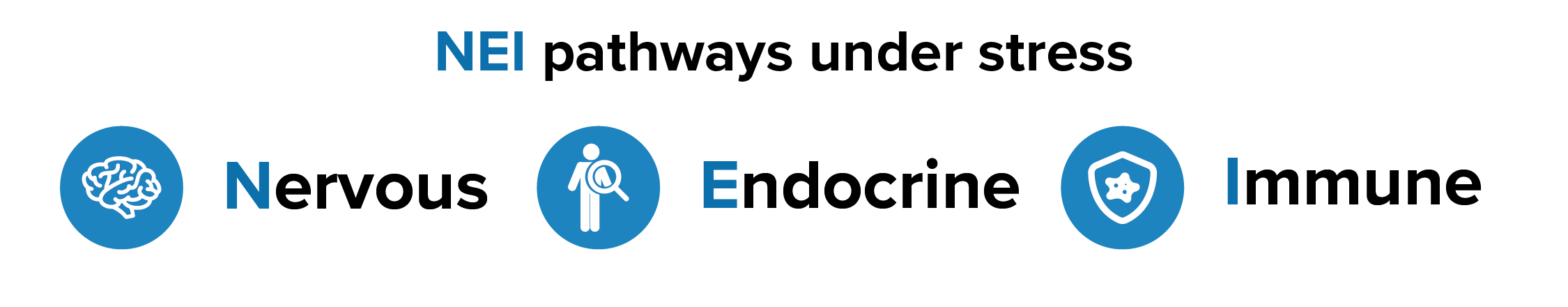 Three icons with words underneath. Nervous with a brain, endocrine with a person and magnifying glass over them, and immune with a shield with a germ cell.