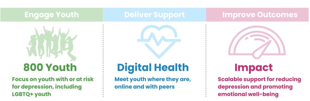 This graphic describes the project goals.