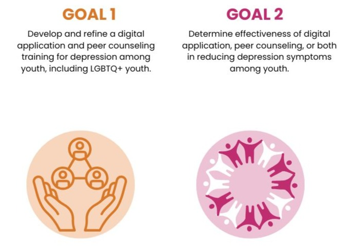 This graphic describes the project goals.