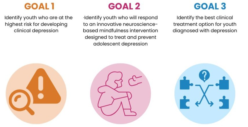 This graphic describes the project goals.